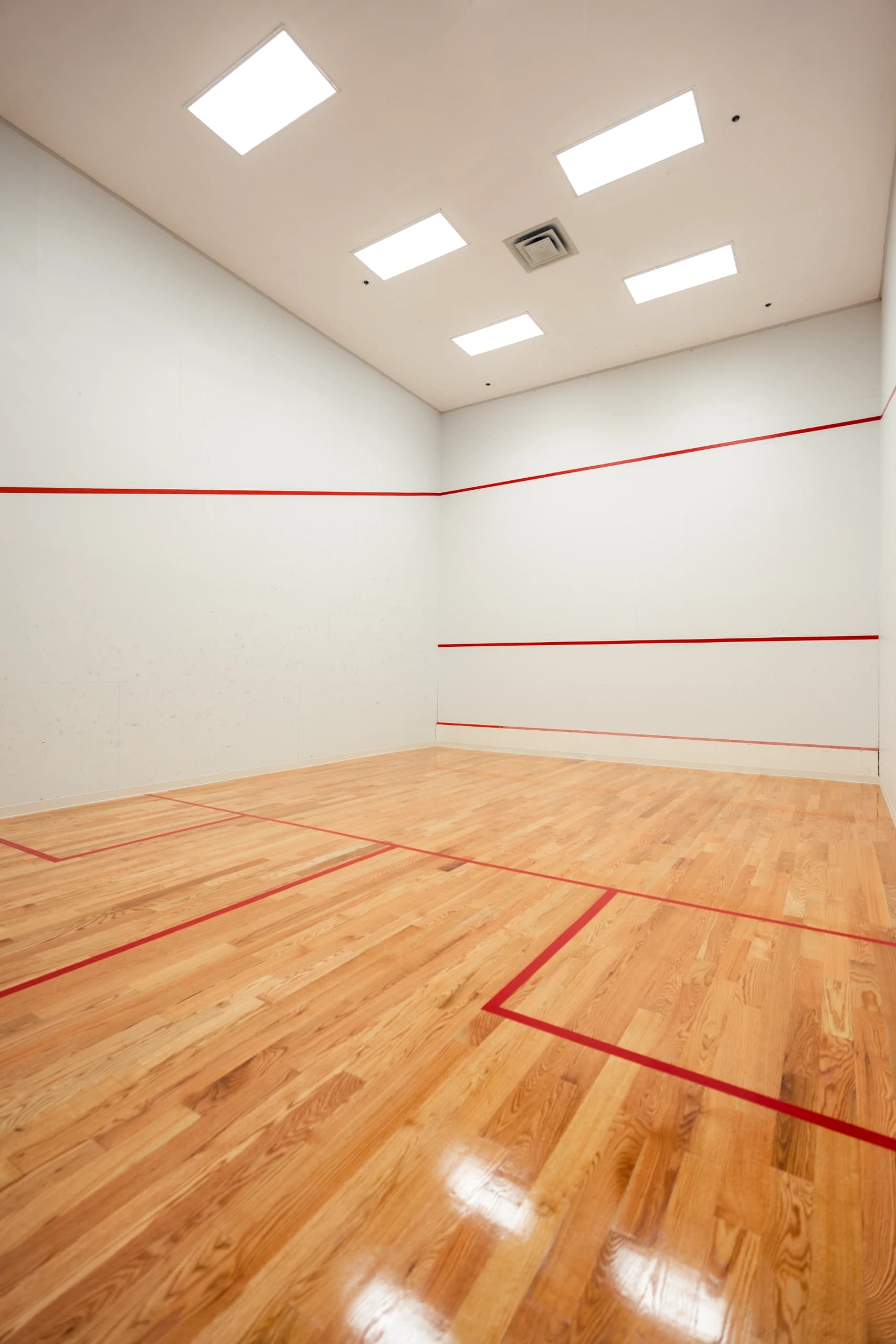 Pickleball Court